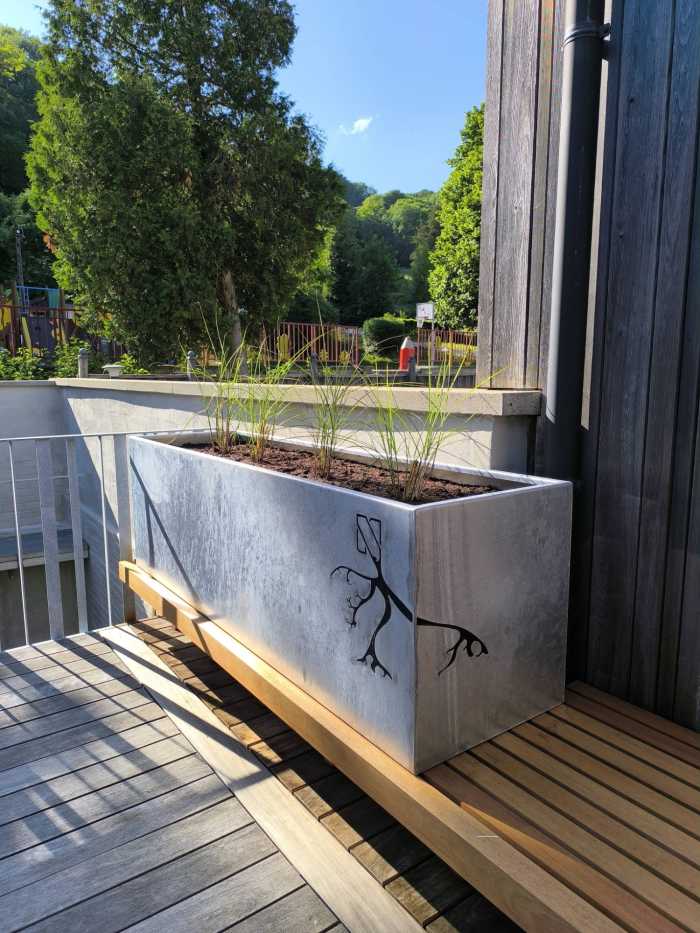 bac plantes galva